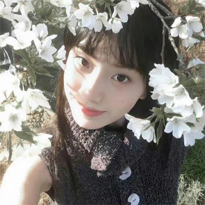 被解放的蠢朋克